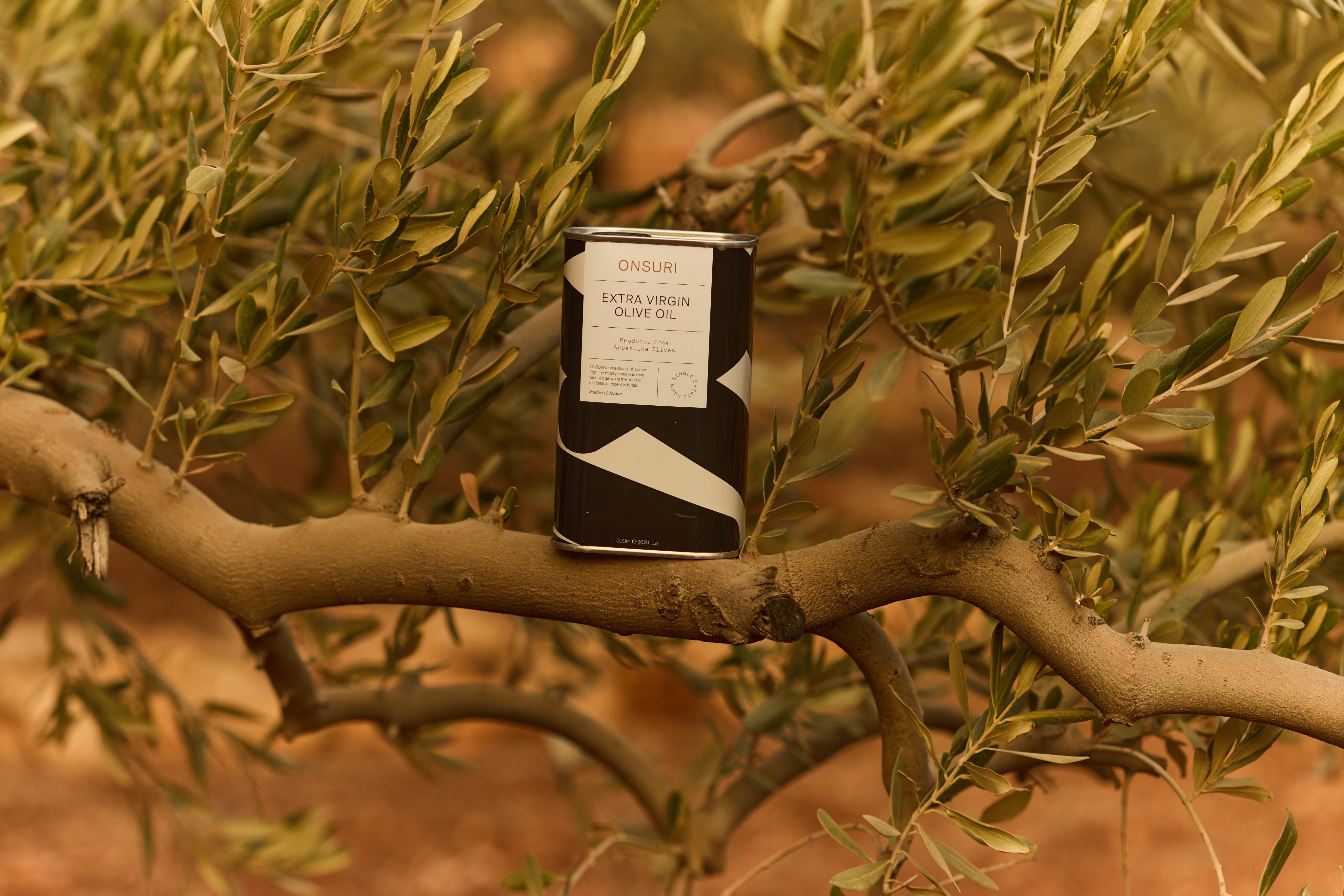 ONSURI olive grove landscape